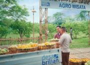 bri-resmikan-kick-off-desa-brilian-2026-untuk-dorong-transformasi-desa-5.0