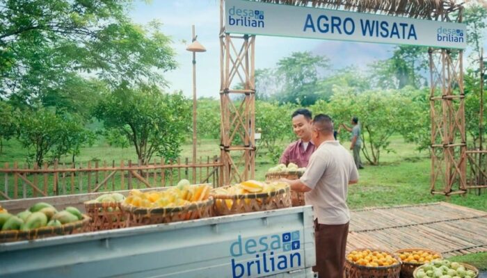 BRI Perkuat Ekosistem Ekonomi Digital melalui Program Desa BRILiaN