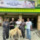 koderal-i-belawan-laksamana-muda-deny-septiana-kurban-6-ekor-kambing-di-desa-limau-manis-dan-desa-medan-sinembah