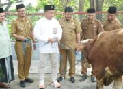 beli-dari-umkm-lokal,-sig-salurkan-292-hewan-kurban-di-19-provinsi-daerah-operasional