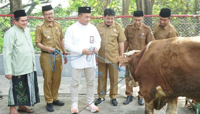 SIG Berdayakan UMKM Lokal dalam Penyaluran 292 Hewan Kurban