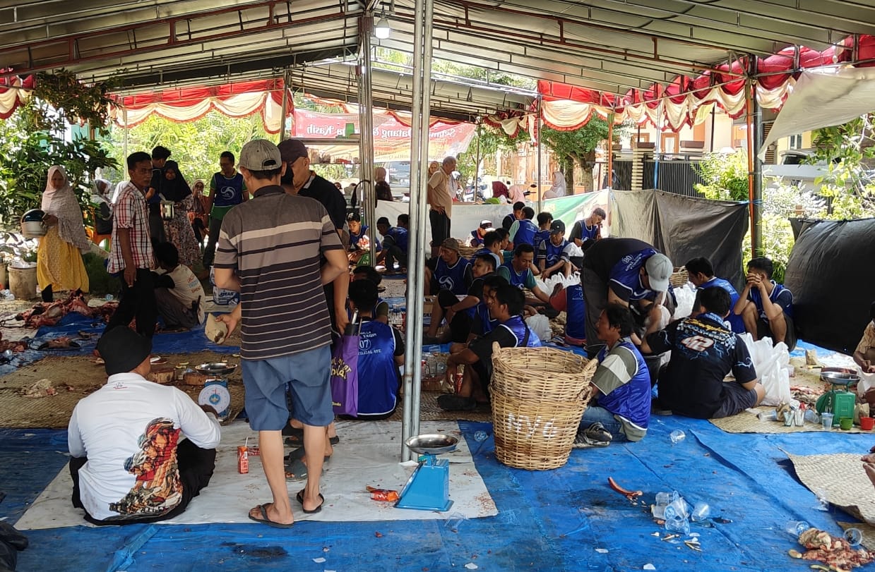 jamaah-arisan-50-ribu-per-minggu,-musala-nurul-yakin-padang-kurban-14-ekor-sapi