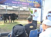 gubernur-mahyeldi-hadiri-penyembelihan-sapi-kurban-bantuan-presiden-ri-di-masjid-raya-syekh-khatib-al-minangkabawi