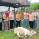 dpw-tani-merdeka-sumbar-sembelih-hewan-kurban-idul-adha-1447-h-di-kecamatan-bungtekab