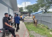 warga-huntara-lubuk-buaya-terima-bantuan-tiga-ekor-sapi-kurban