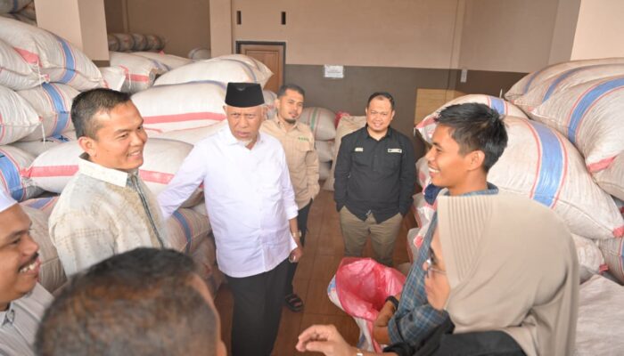 Mahyeldi Dorong Hilirisasi Industri Pinang di Lima Puluh Kota