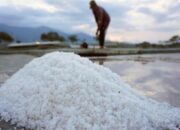 rote-ndao-diproyeksikan-pasok-ratusan-ribu-ton-garam-per-tahun