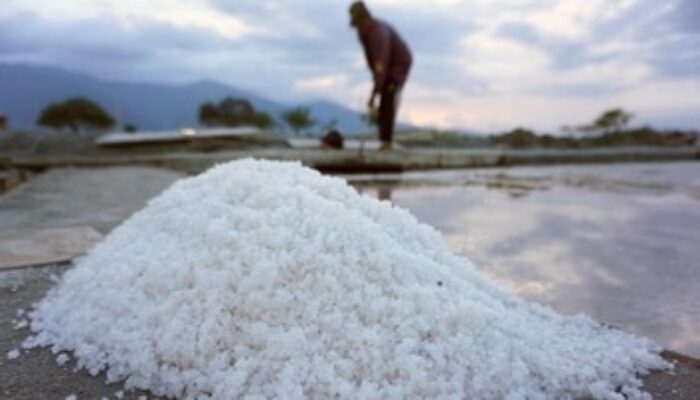 Pemerintah Pacu Produksi Garam Nasional di Rote Ndao