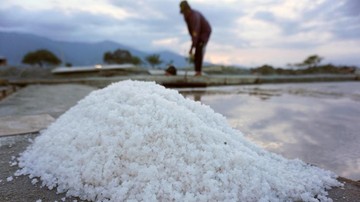 rote-ndao-diproyeksikan-pasok-ratusan-ribu-ton-garam-per-tahun