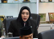 Anggota DPR RI, Cindy Monica. Foto: Arifma/Mahendra