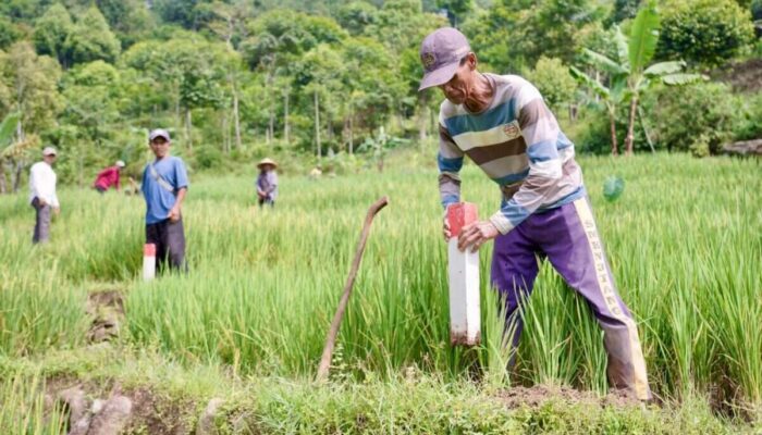 Memasang Patok Batas Cegah Sengketa Lahan Antartetangga