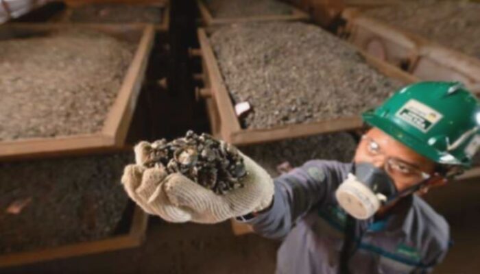 Investasi Hilirisasi Nikel Diproyeksi Tumbuh US$ 20 Miliar hingga 2028