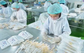 Jayamas Medica Bagi Dividen Rp 110 Miliar, Cek Potensi Yield Investor