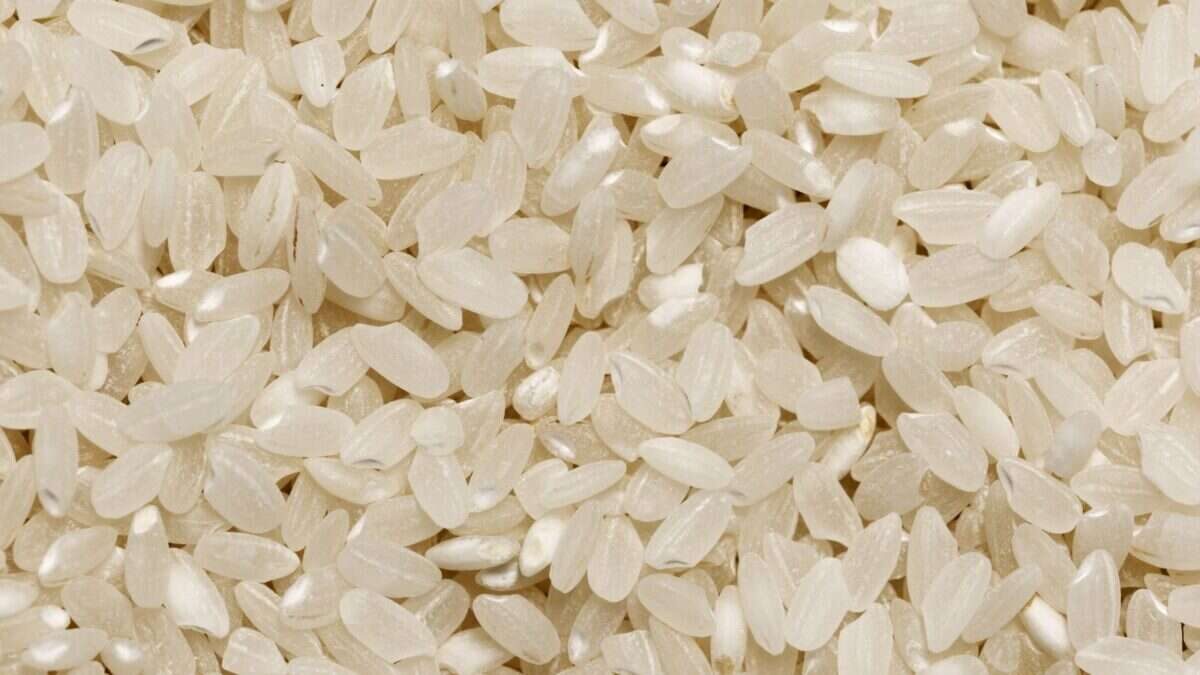 Detailed close-up image of raw organic white rice grains showcasing texture and abundance.