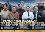 mulai-juni-2026,-dsi-danantara-awasi-ekspor-sda