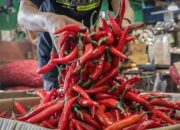 kemendag-ungkap-cabai-bawang-paling-rawan-residu-pestisida