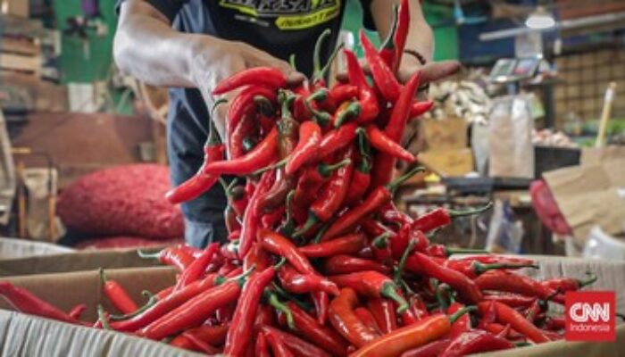 Kemendag Awasi Residu Pestisida pada Cabai dan Bawang Merah