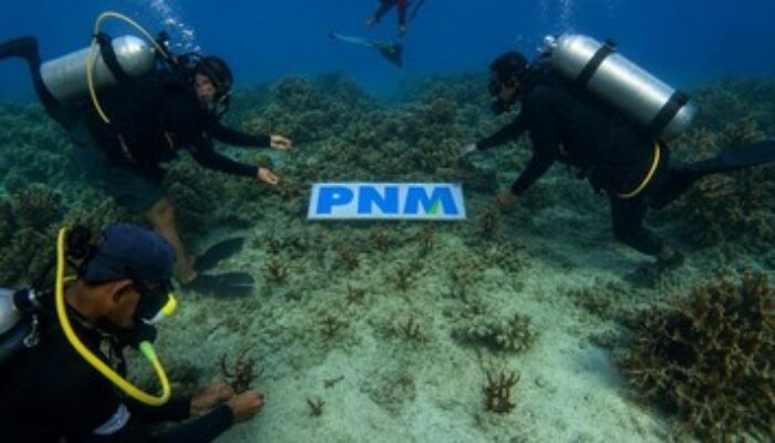 PNM Menanam Mangrove dan Terumbu Karang demi Ekosistem Pesisir
