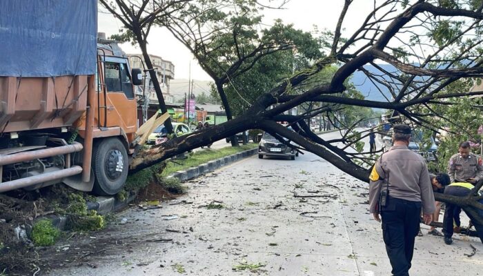 Truk Tabrak Pohon, Akses Jalan Padang-Solok Sempat Lumpuh Total