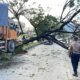 truk-tabrak-pohon-hingga-tutupi-jalur-padang-solok