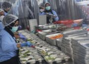 bgn-setop-sementara-mbg-saat-libur-sekolah,-dapur-bakal-diaudit