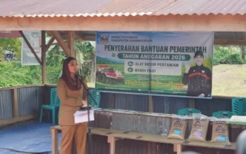 Pemkab Dharmasraya Modernisasi Pertanian Tingkatkan Produktivitas Petani Lokal