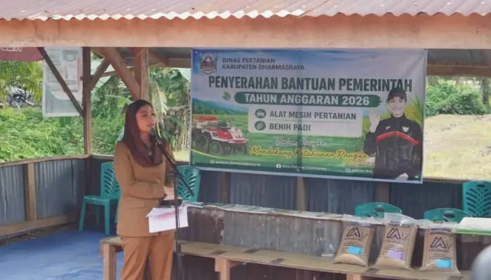 Pemkab Dharmasraya Modernisasi Pertanian Tingkatkan Produktivitas Petani Lokal