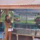 pemkab-dharmasraya-salurkan-traktor-dan-benih-padi-perkuat-produktivitas-pertanian