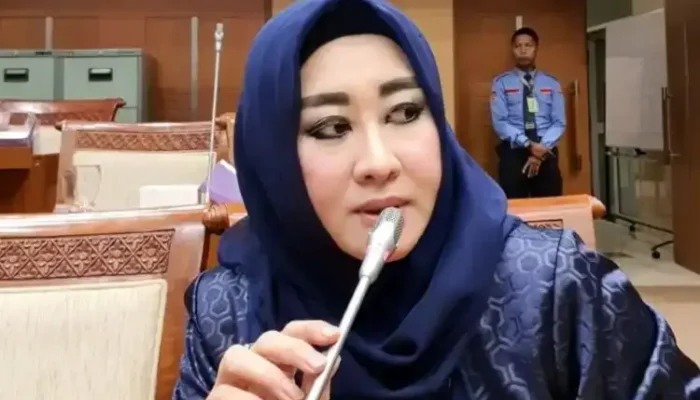 Lisda Hendrajoni Mendorong Hukuman Maksimal bagi Pelaku Kekerasan Perempuan