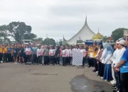ribuan-peserta-ikuti-gerak-jalan-sehat-di-lubuk-sikaping-memperingati-hani-tahun-2026