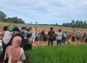 pemko-padang-pulihkan-produktivitas-lahan-pertanian-via-program-alih-komoditi