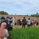 pemko-padang-pulihkan-produktivitas-lahan-pertanian-via-program-alih-komoditi