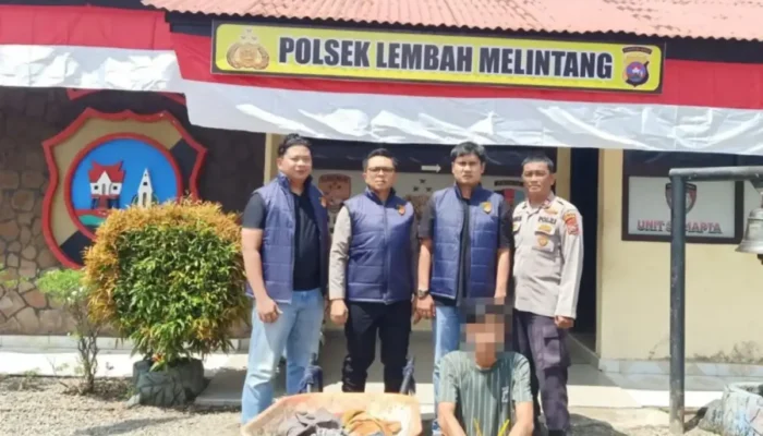 Polisi Tangkap DPO Pencuri Kelapa Sawit di Pasaman Barat