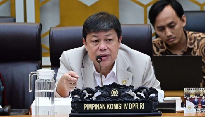 DPR Mendorong Pemerintah Perkuat Strategi Pencegahan Kebakaran Hutan