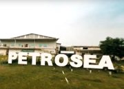Alat berat sedang beroperasi di area pertambangan batu bara di Kalimantan
