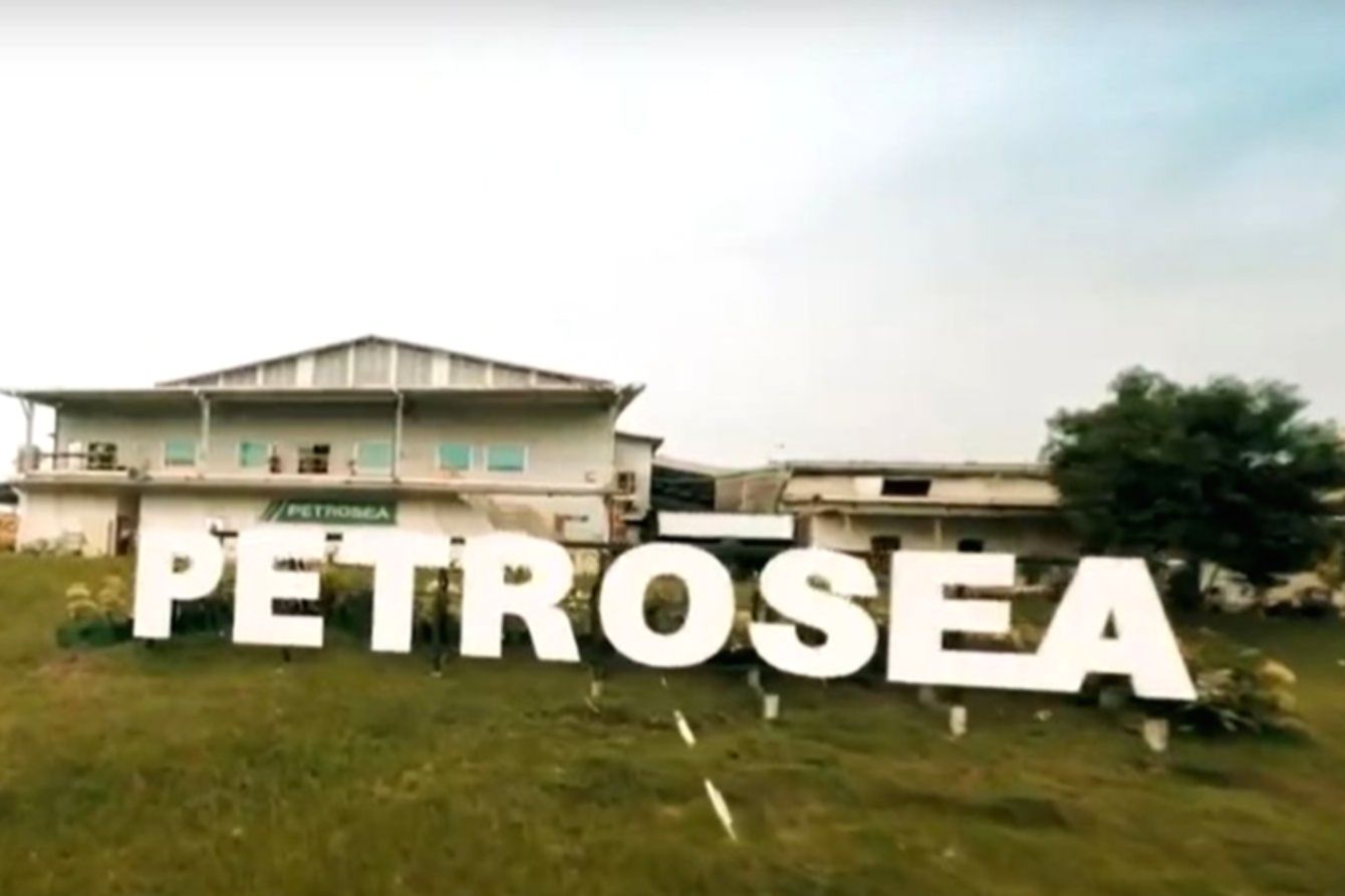 Alat berat sedang beroperasi di area pertambangan batu bara di Kalimantan
