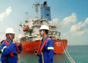 Grafik kinerja keuangan PT Chandra Daya Investasi Tbk yang menunjukkan kenaikan pendapatan namun penurunan laba bersih