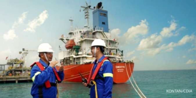 Grafik kinerja keuangan PT Chandra Daya Investasi Tbk yang menunjukkan kenaikan pendapatan namun penurunan laba bersih