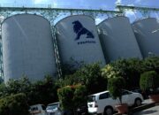 Papan layar perdagangan saham PT Charoen Pokphand Indonesia Tbk (CPIN) di Bursa Efek Indonesia