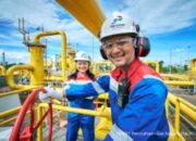 Pekerja melakukan pengecekan pada infrastruktur pipa distribusi gas milik PT Perusahaan Gas Negara Tbk (PGAS)