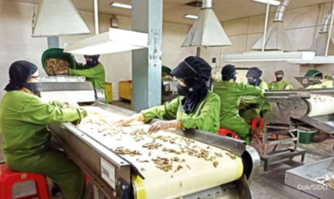 Pabrik produksi PT Industri Jamu dan Farmasi Sido Muncul Tbk yang sedang beroperasi