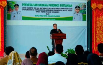Pemkot Padang Panjang Salurkan Bantuan Pertanian Guna Tekan Inflasi