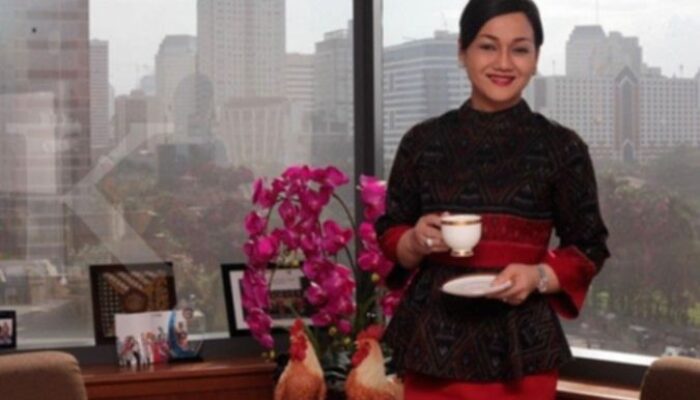 S&P Pertahankan Rating BBB, OJK: Fundamental Ekonomi Indonesia Tetap Kuat