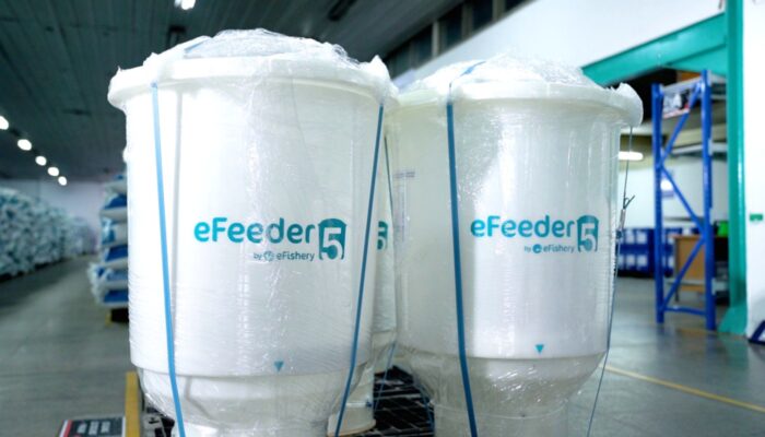 Amvesindo: Fundamental Ekonomi Indonesia Jaga Kepercayaan Investor di Tengah Kasus eFishery