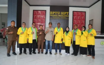 BPTU-HPT Padang Mengatas Pacu Produktivitas Sapi Lokal Sumatera Barat
