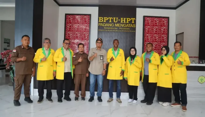 BPTU-HPT Padang Mengatas Pacu Produktivitas Sapi Lokal Sumatera Barat