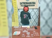 gerebek-ladang-alpukat,-polres-pariaman-amankan-bandar-dan-81-paket-sabu