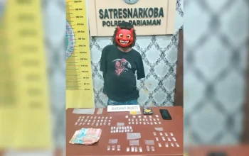 Polres Pariaman Ringkus Pengedar Sabu di Ladang Alpukat