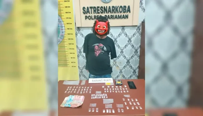 Polres Pariaman Ringkus Pengedar Sabu di Ladang Alpukat