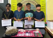 satresnarkoba-polres-pessel-bongkar-jaringan-peredaran-ganja-libatkan-empat-remaja